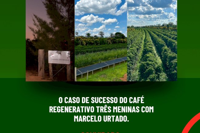 O caso de sucesso do Café Regenerativo Três Meninas