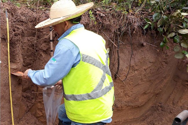 Método simplifica medição de carbono no solo com laser e IA