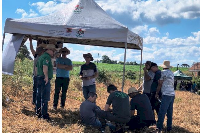 Epagri apresenta SPD a agricultores do Extremo-Oeste para aumentar sustentabilidade e rentabilidade no campo