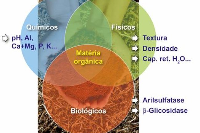 Da química à biologia: como o Brasil está liderando a revolução da saúde do solo