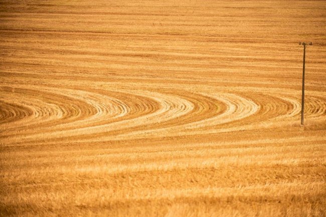 FGV: Brasil ganharia R$ 94 bi/ano com maior adoção de práticas sustentáveis no agro