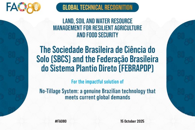 FAO reconhece Sistema Plantio Direto como modelo de tecnologia para o mundo
