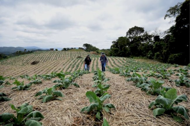 Sustentabilidade: como a Epagri contribui para reduzir o impacto do campo no aquecimento global