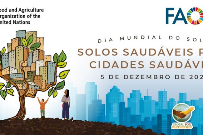 Dia Mundial do Solo: da comemoração à luta pela gestão ecológica dos solos urbanos