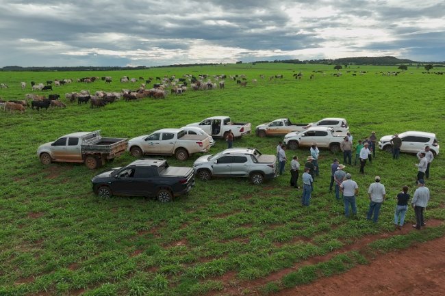 Sistemas integrados são apresentados em curso de pecuária bovina e pastagem regenerativas