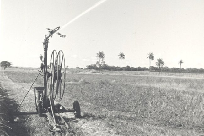 A contribuição dos 50 anos de ciência para transformação da agricultura irrigada no Cerrado