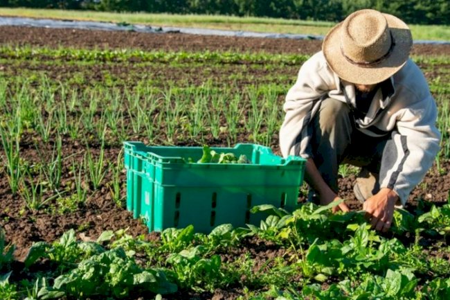 Mudanças climáticas: o desafio da resiliência no cooperativismo agro