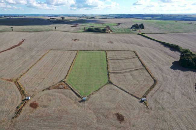 Terraço na produção de grãos diminui perda de água no solo, aponta pesquisa
