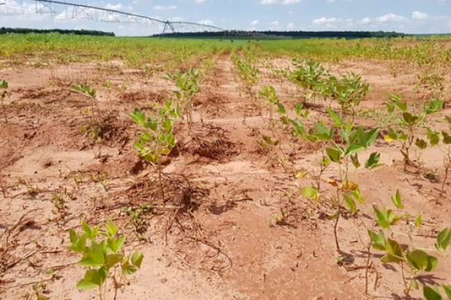 Uma necessidade premente