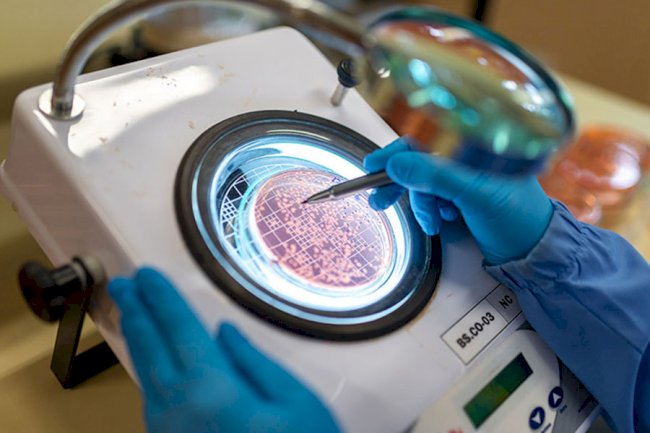 Uso de bioinsumos eleva em mais de 8% a produtividade da soja no Paraná