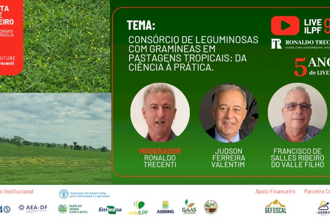 Live sobre consórcio de leguminosas com gramíneas em pastagens tropicais