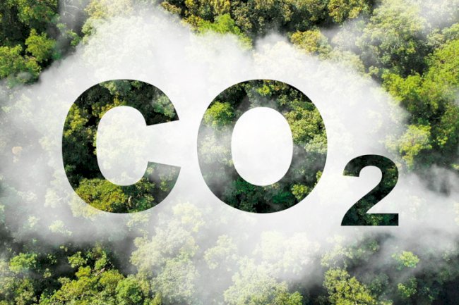 Mercado de carbono atrai produtores, mas exige cautela