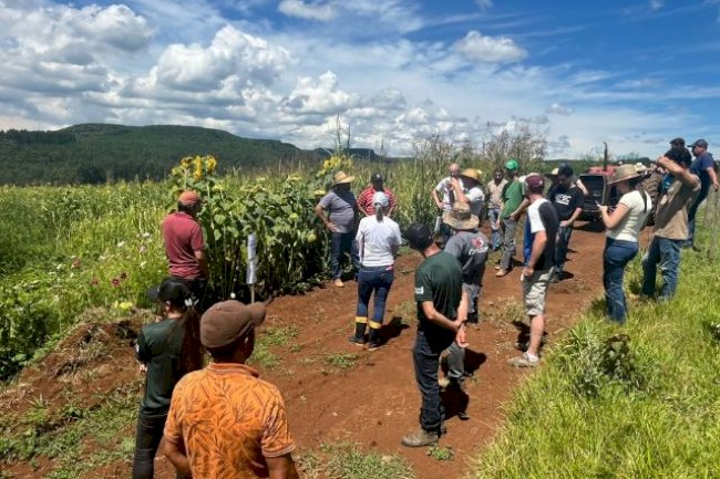 Epagri incentiva produção sustentável de hortaliças em SC