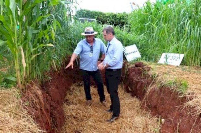 RS destaca tecnologias para melhorar a produtividade do solo no Espaço Terra Forte na Expodireto Cotrijal 