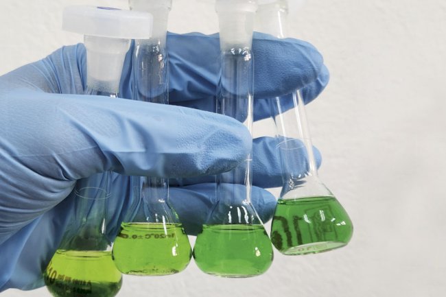 Pesquisadores desenvolvem novo processo para a produção sustentável de amônia