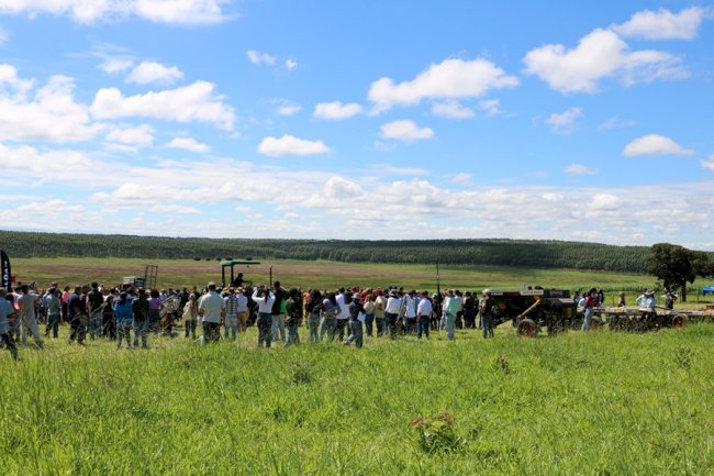 ILP impulsiona reconversão de áreas com pastagens degradadas em Minas