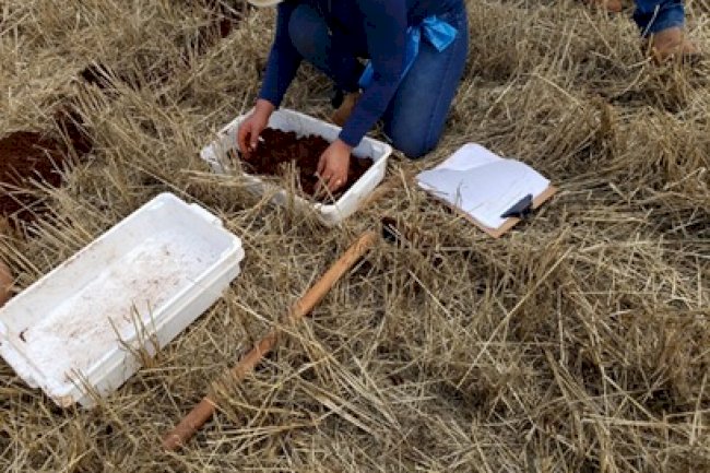 Projeto na área de Itaipu estabelece protocolo de manejo conservacionista em área de grãos