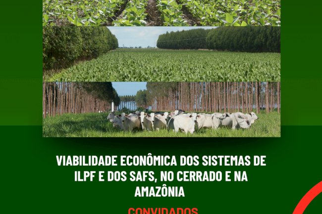 Encontro aborda viabilidade econômica dos sistemas de ILPF e SAFs no Cerrado e na Amazônia