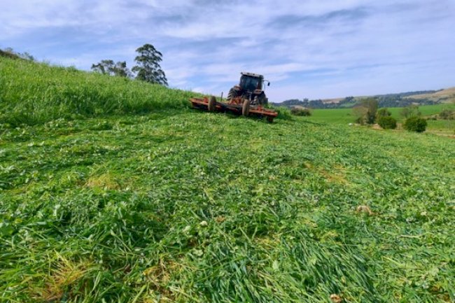 Agricultura de inverno no Sistema Plantio Direto