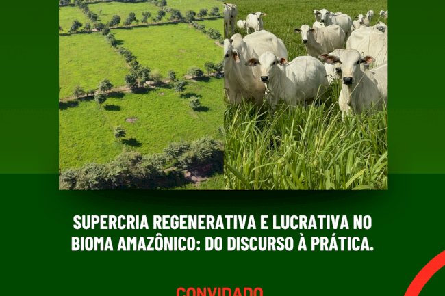 Supercria Regenerativa e Lucrativa