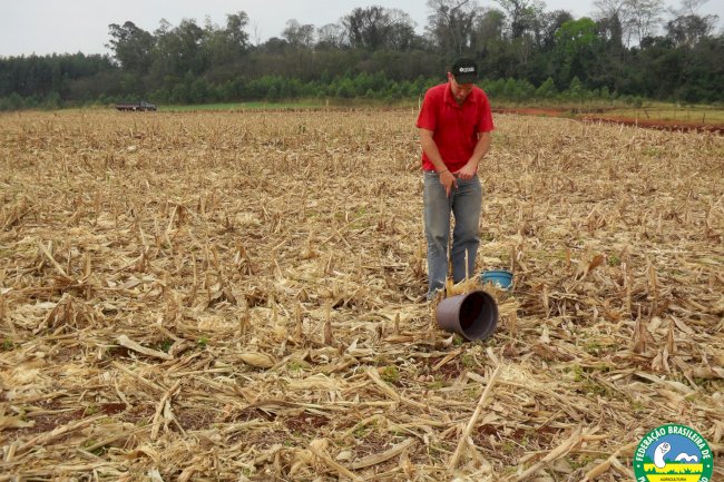Vulnerabilidades e fragilidades do Sistema Plantio Direto