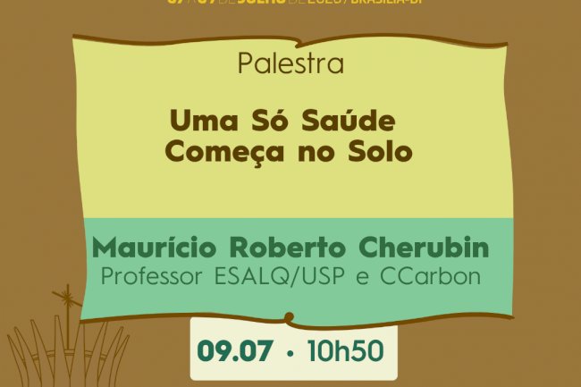 O Sistema Plantio Direto como porto seguro