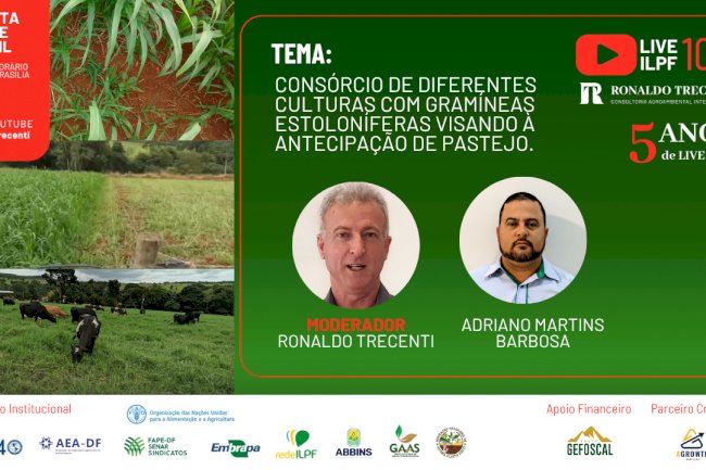 Live aborda modelos de consórcio de diferentes culturas com gramíneas estoloníferas