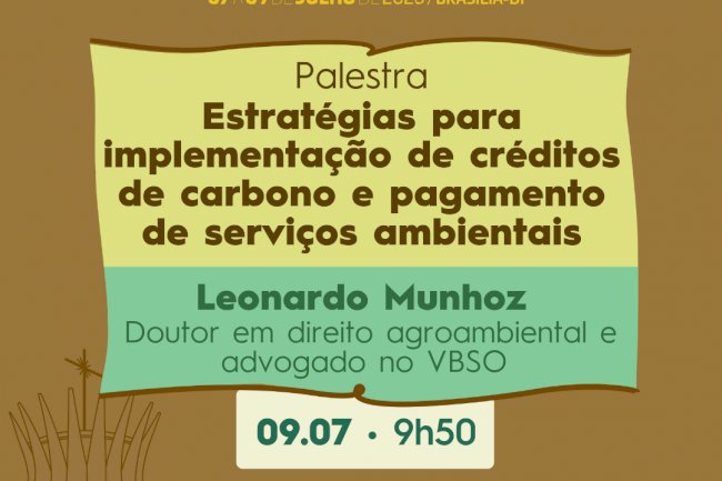 Estratégias para implementação de créditos de carbono e pagamento de serviços ambientais