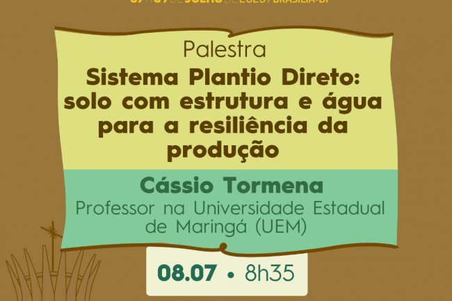 Estrutura do solo e produtividade em foco