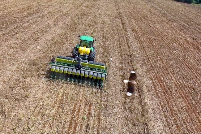 Sistema Plantio Direto como prática da agricultura coletiva