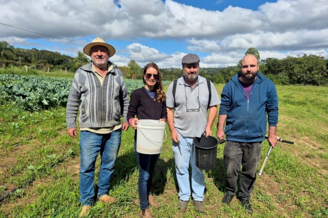 Parceria entre CATI e Epagri valoriza Sistema Plantio Direto de Hortaliças em SP