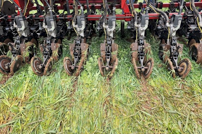 A fertilidade ecológica do Sistema Plantio Direto