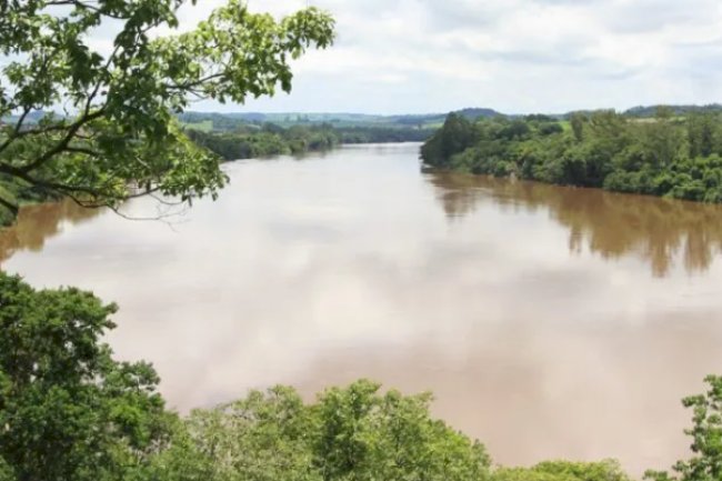 Novo decreto federal amplia possibilidades de pagamento por serviços ambientais ao agro, mas ainda exige regulamentação