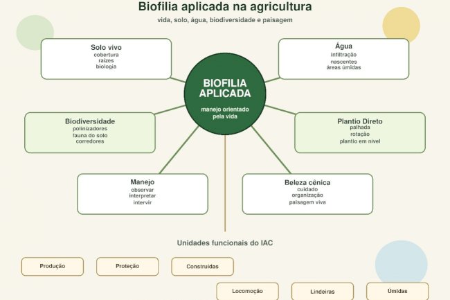 Biofilia aplicada na agricultura