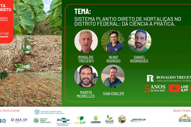 SPD em hortaliças é o tema da Live ILPF desta semana