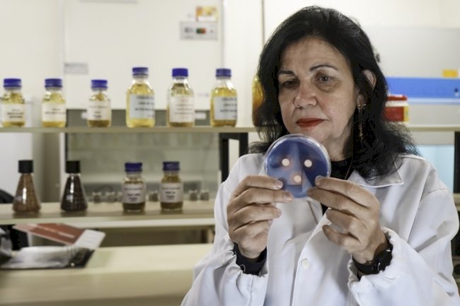 Mariangela Hungria debate protagonismo dos bioinsumos na agricultura
