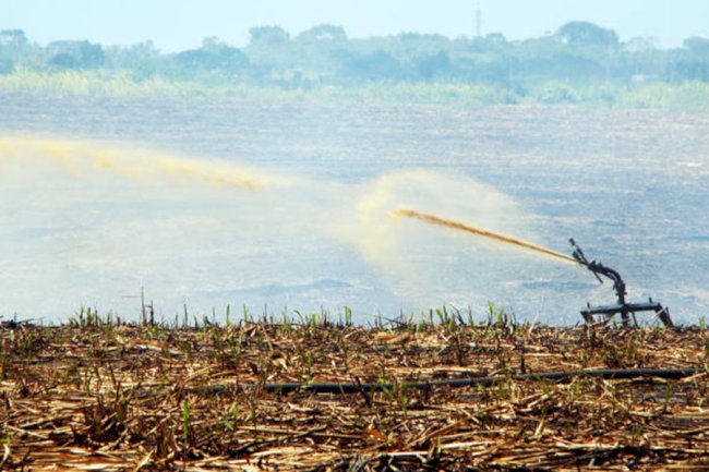 Estudo mapeia áreas no Brasil mais vulneráveis à poluição difusa gerada pela agropecuária