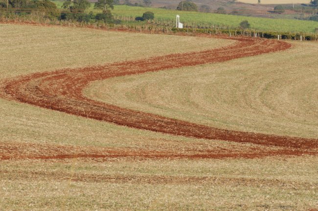 Plantio direto: tecnologia que nasceu no Paraná ajuda a produzir mais e preservar o meio ambiente