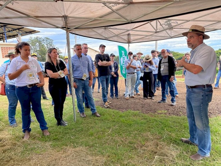 Especialistas demonstram vantagens dos sistemas ILPF