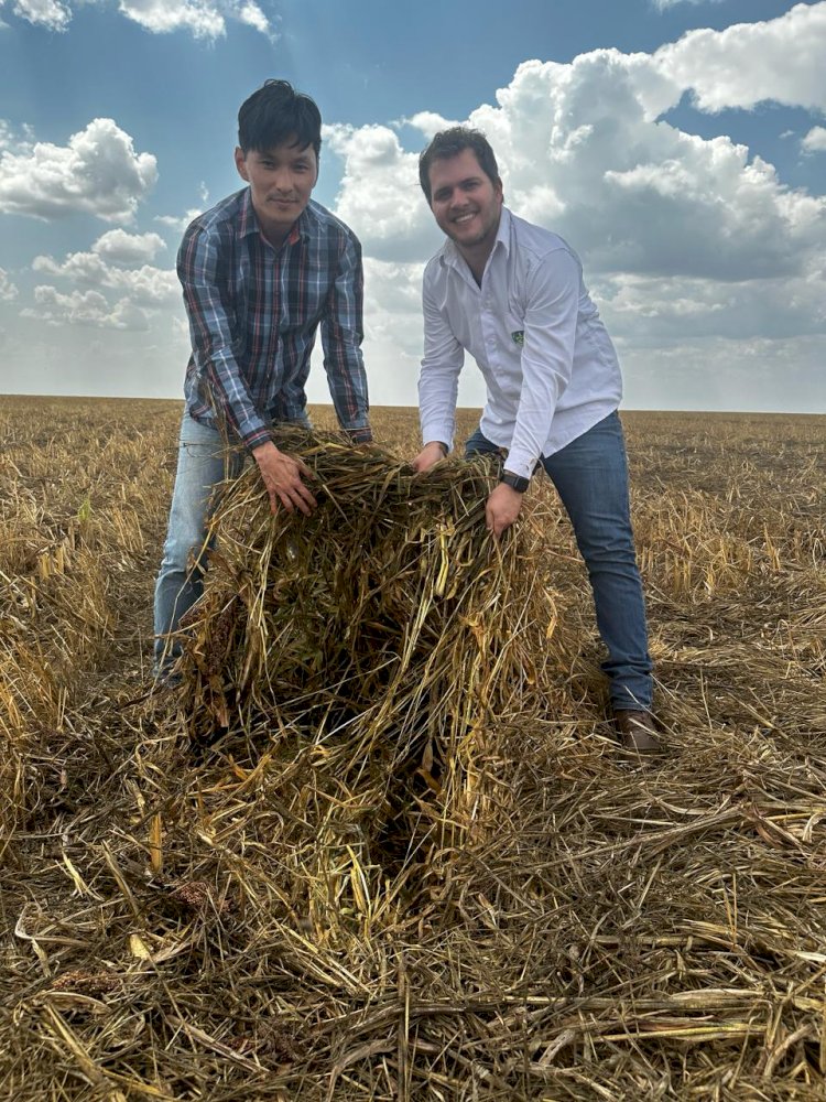 IQP: caminho para certificação das boas práticas na agricultura sustentável
