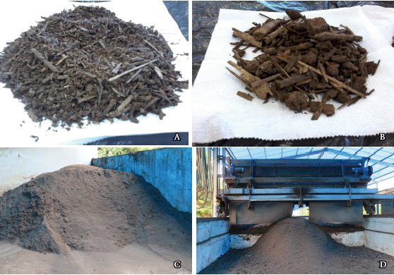 Entender a matéria orgânica do solo em ambientes tropical e subtropical ajuda a aumentar a produtividade agrícola e combater as mudanças climáticas