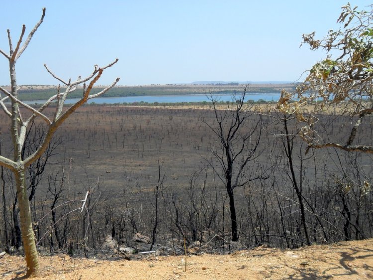 Recursos hídricos, queimadas e cinzas: a urgência do necessário equilíbrio na busca pela sustentabilidade ambiental