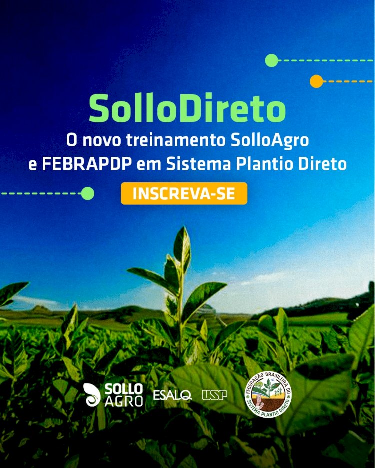 SolloDireto: oportunidade única de capacitação