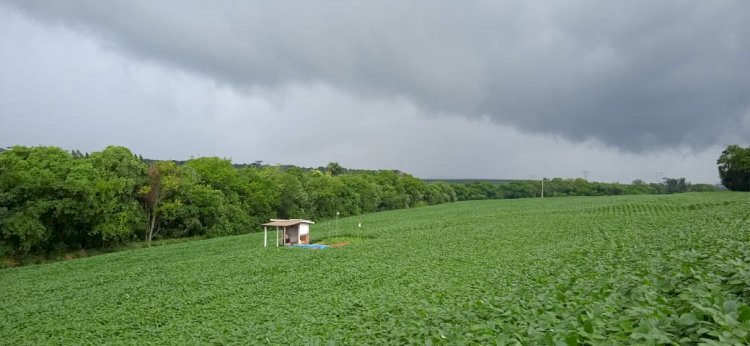 Novo livro reforça papel da pesquisa no combate à degradação do solo