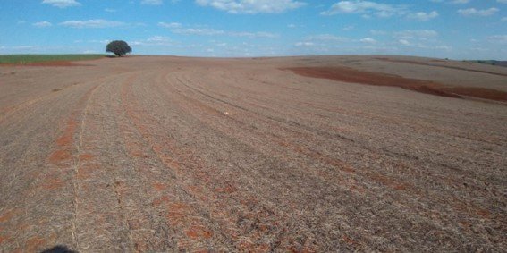 Fatores de ameaça à degradação de ambientes agrícolas no Sistema Plantio Direto