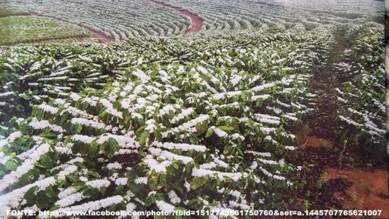 A fruição da agricultura