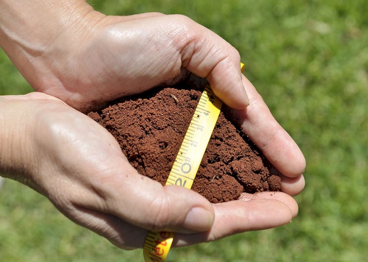 Embrapa propõe ação conjunta entre especialistas de mais de 20 países para fortalecer pesquisas de saúde do solo