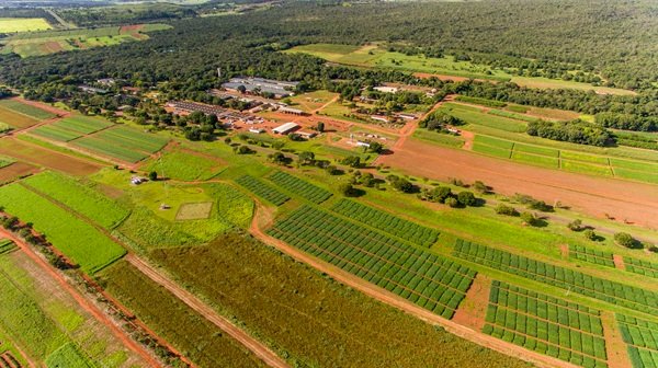 Artigo - Cerrados e a travessia da ciência: 50 anos de transformação agrícola e compromisso com o futuro