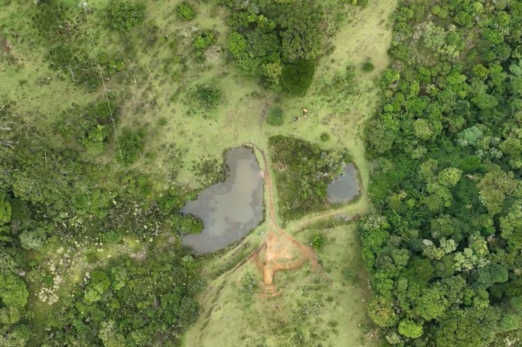 Paraná tem projeto de proteção de microbacias no campo para garantir segurança hídrica 