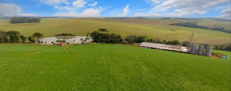 II Encontro Catarinense de Agricultura Regenerativa promove modelo sustentável e rentável para o campo